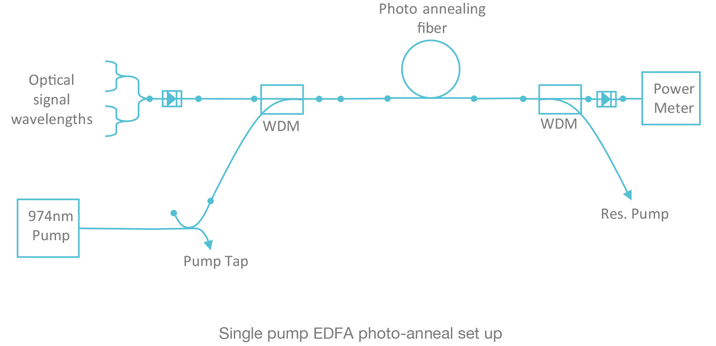 Single Pump