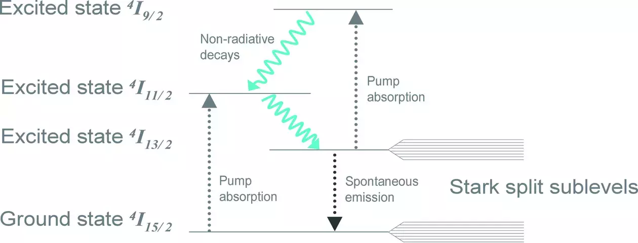 Erbium