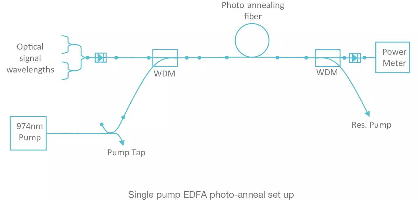 Single Pump