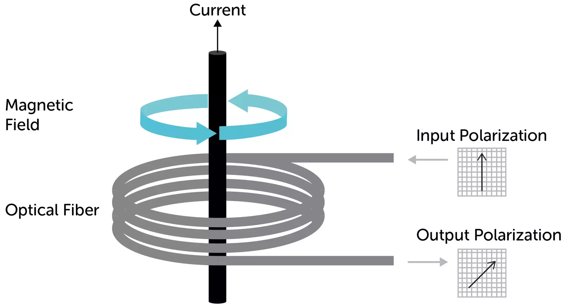 Faraday Effect