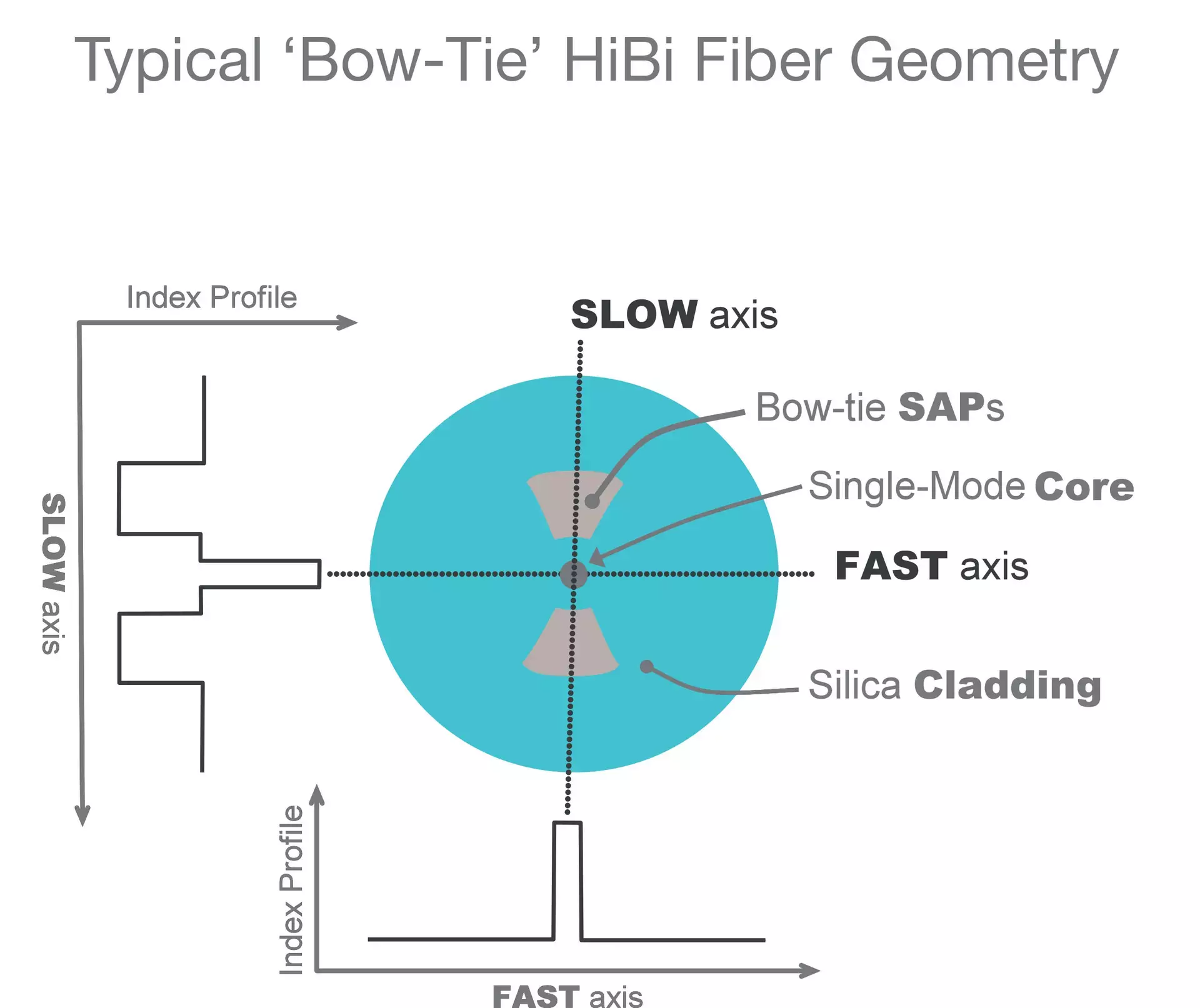 Birefringent Fiber