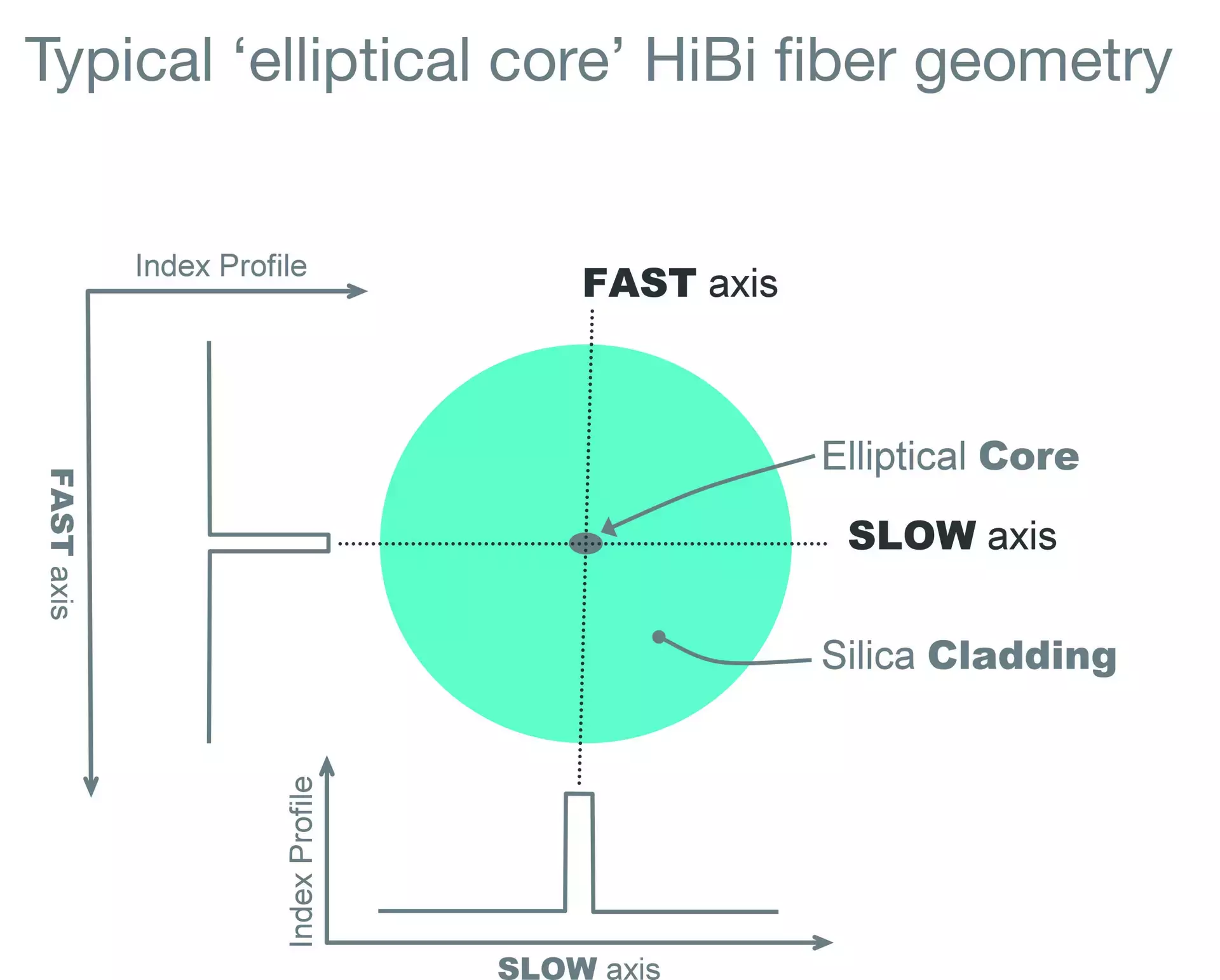 Birefringent Fiber