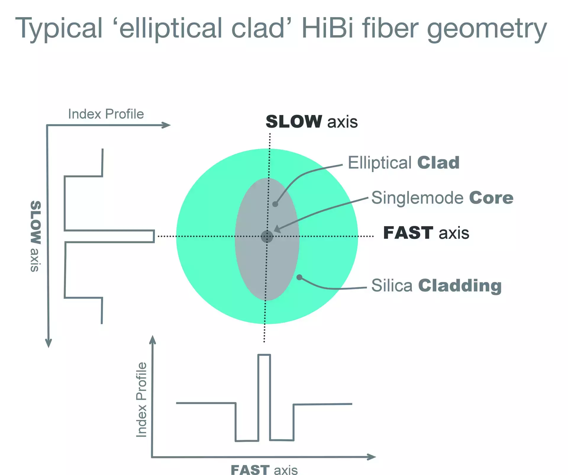 Elliptical Clad Fiber