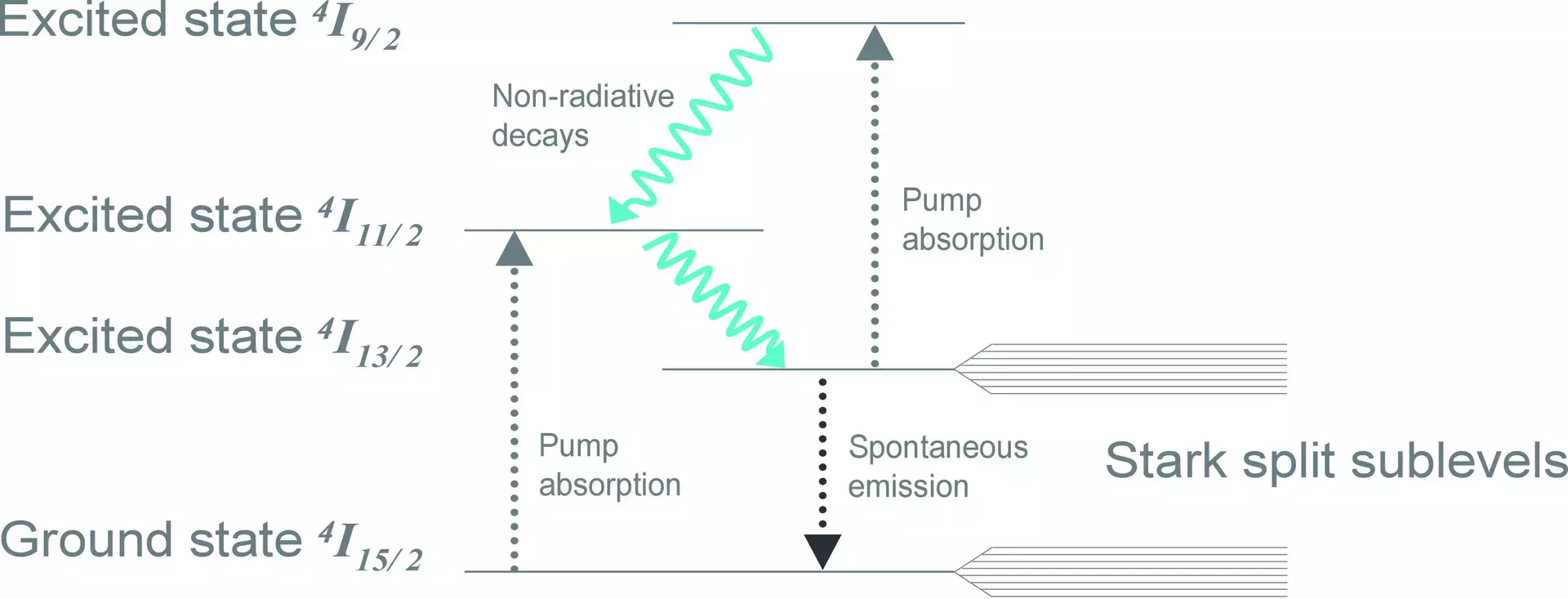 Erbium