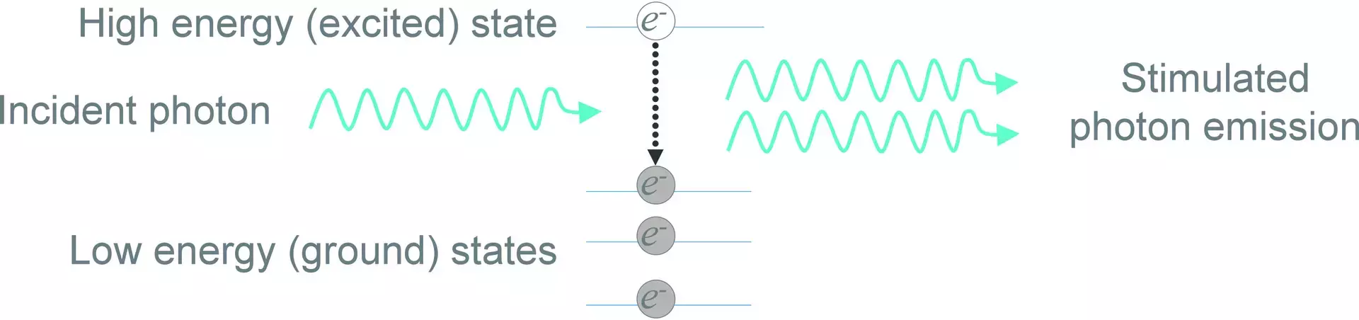 Stimulated Emission