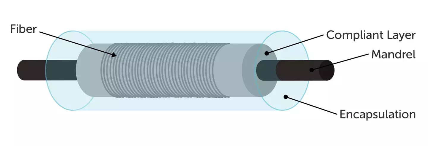 Oil and Gas Hydrophones